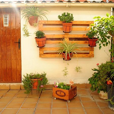 Habitacion Con Patio En Piso Compartido カペリャデス エクステリア 写真