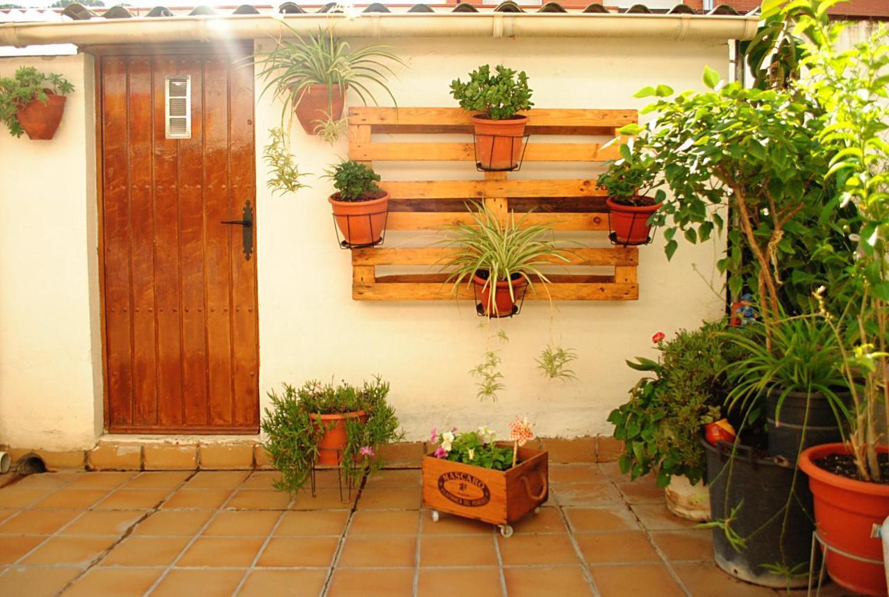 Habitacion Con Patio En Piso Compartido カペリャデス エクステリア 写真